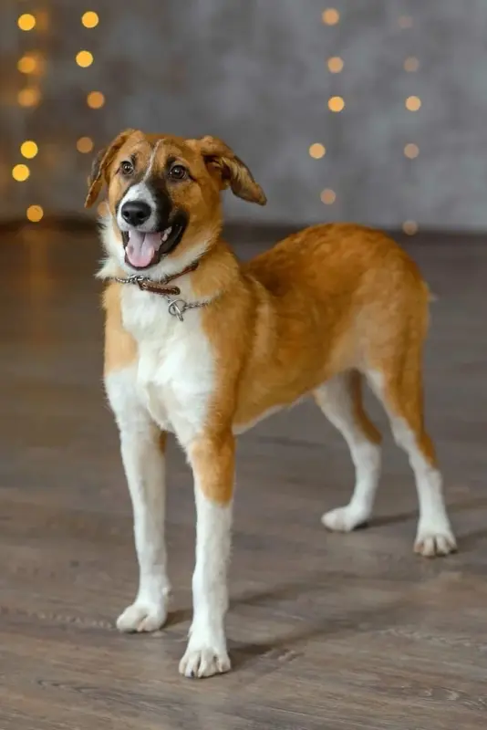 изображение_viber_2022-01-12_14-40-04-051