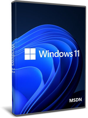 Windows_11_MSDN.png