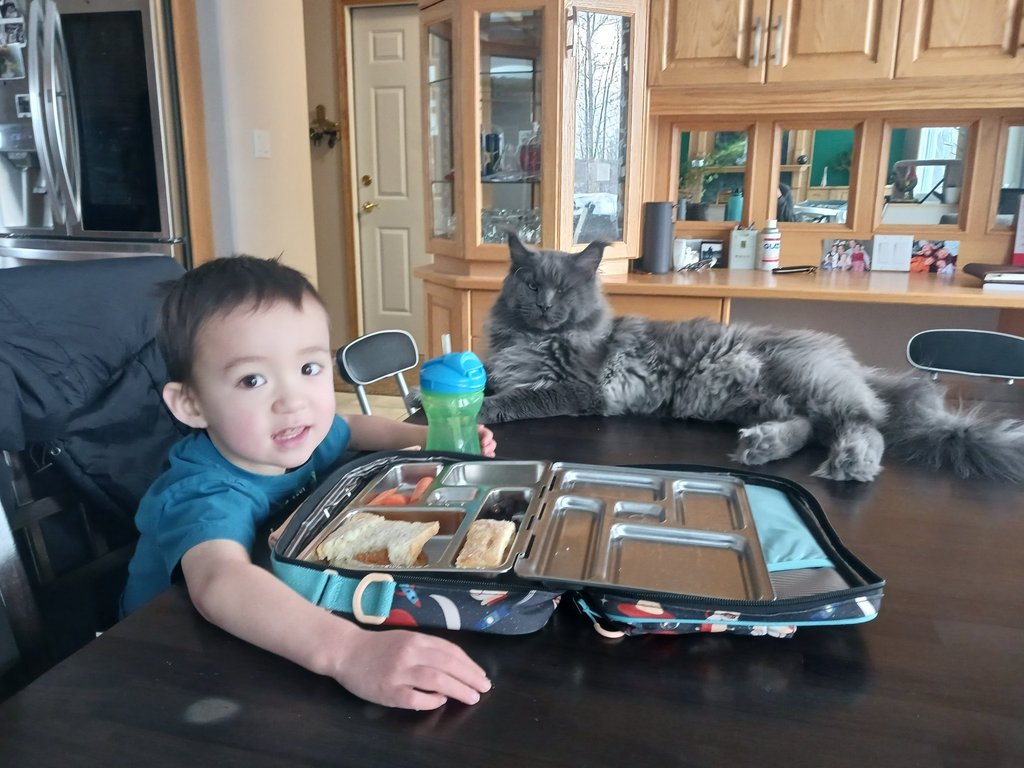 [Image: 20230309-081945-resized-20230311-091947974.jpg]