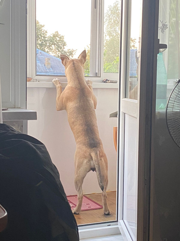 5D8AAC6F-06EF-49DA-98CC-F4F7DC795A97