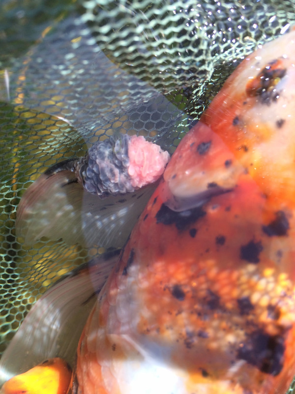 582763AA-195B-4A58-A0AF-E0ED237C2D2D