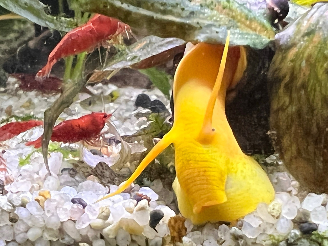 0047D416-016F-496D-992B-DB540E287629