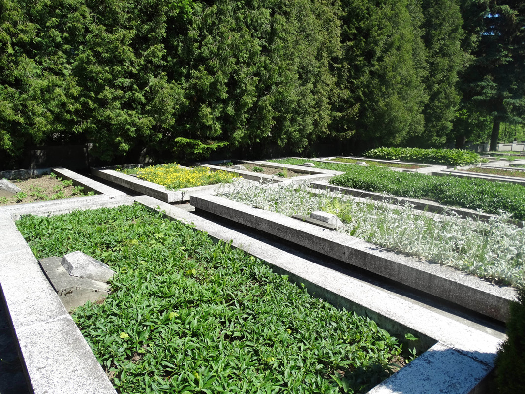 176 - DSC01458 (Lolo)