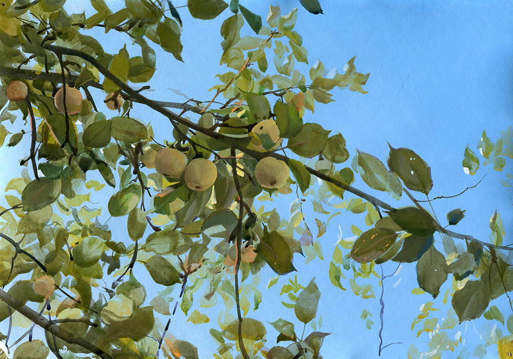 005-01