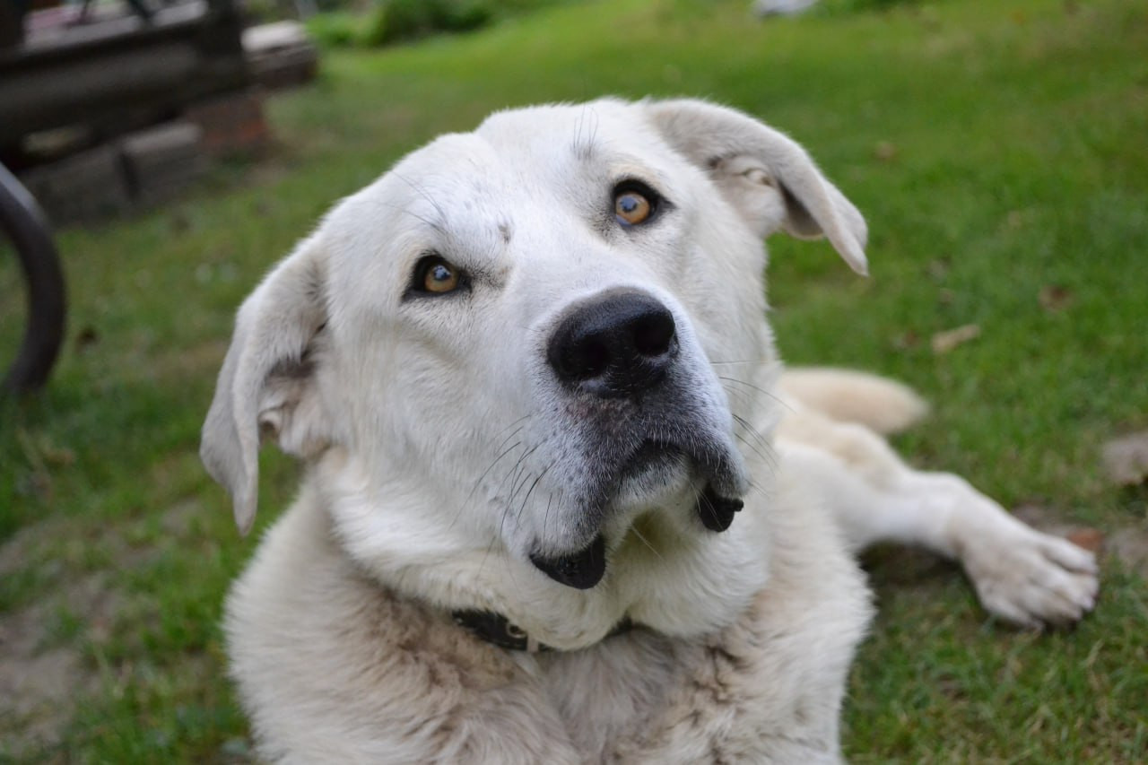 photo 2026 01 07 15 58 10