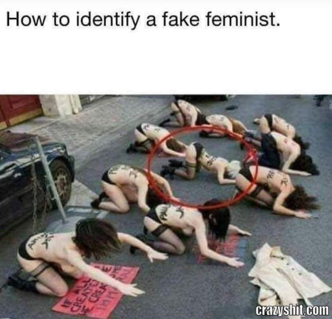fake-feminist.jpg