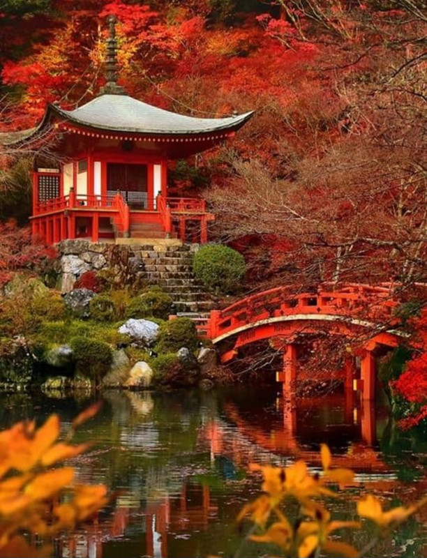 Screenshot_20230129_003202_Chrome