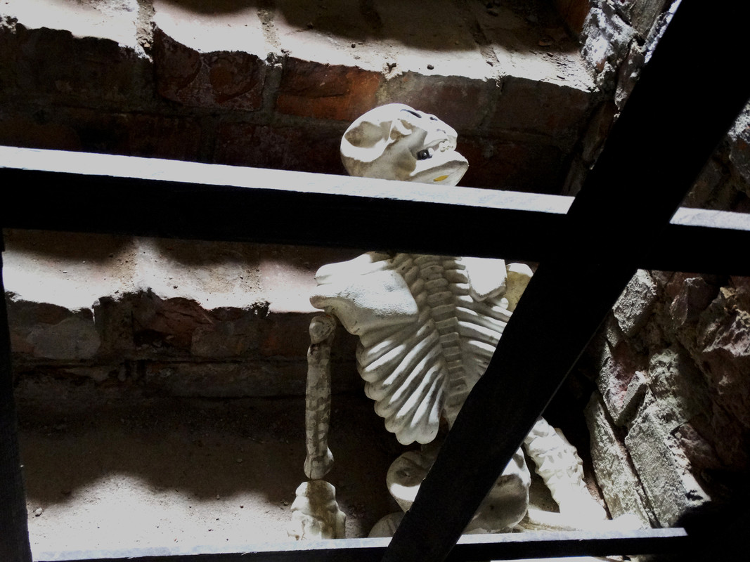 02.29 - DSC06501 (Czesio1)