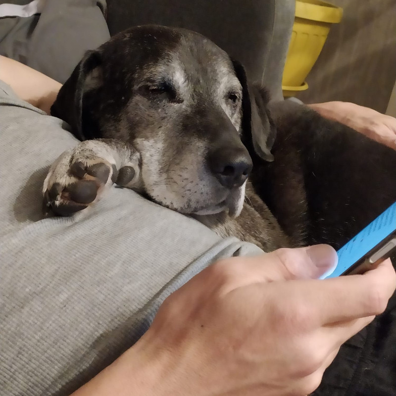 52AA21B4-5BB2-4FF2-82BF-1D16EE4D352E