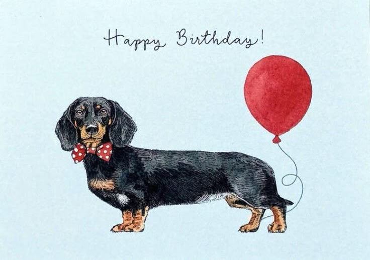 [Image: 11fd09ed-30cb-470f-b766-d135ac074dba.jpg]