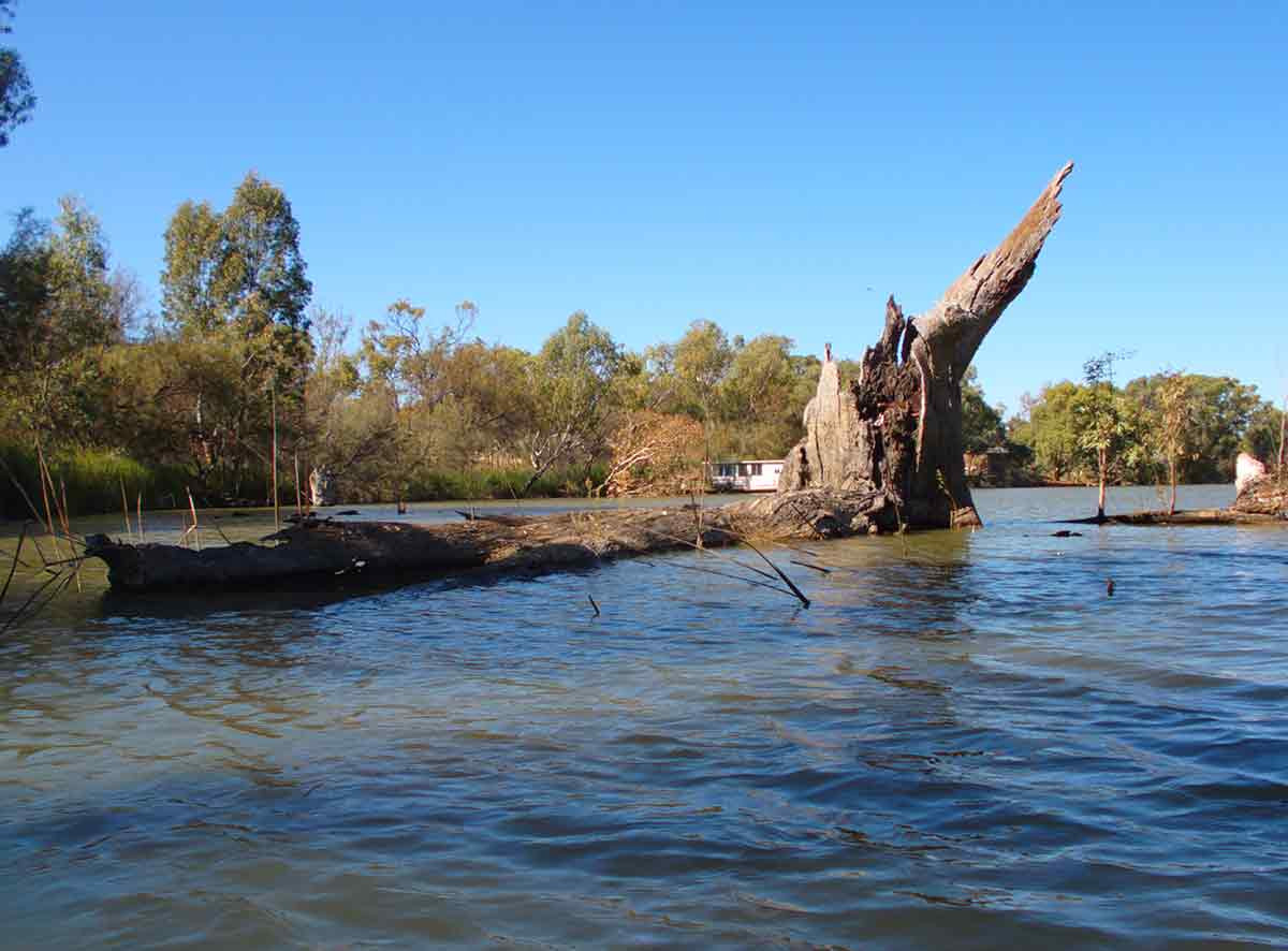 Snag - Ajax Achilles Lake