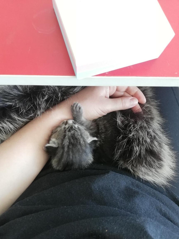 401437EB-72FD-4D79-BBAC-3A820AB6021F