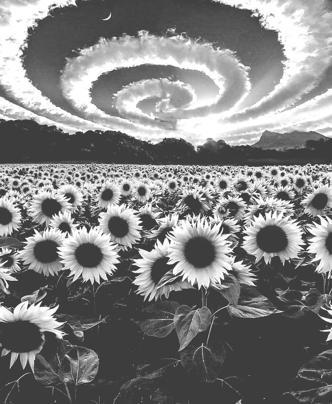 tumblr-p63x8tfc-VH1qlc5eqo1-1280