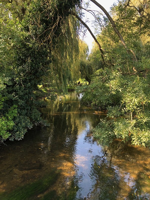 stream-river.jpg