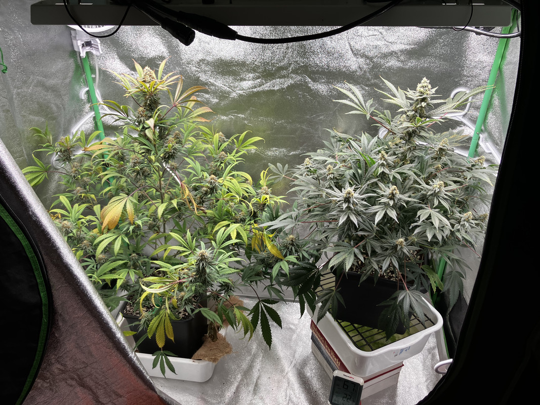 6EA0AAB1-3D73-479A-B3A4-9115C9B1190D