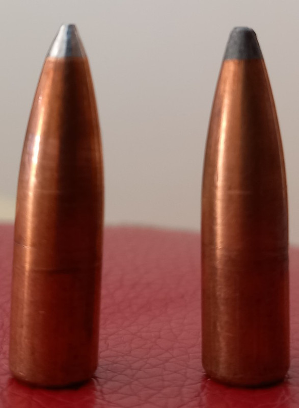 Screenshot_20240923_135305_Photos