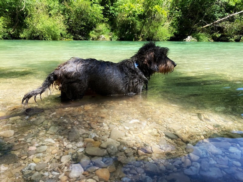 [Image: IMG-0163.jpg]