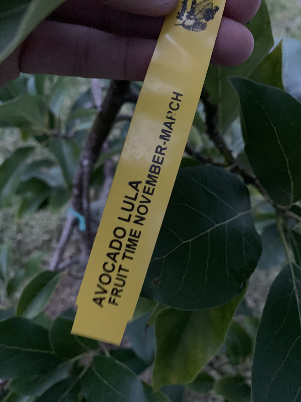 81A42D97-6AB8-4A69-BED0-5B26610F58B5