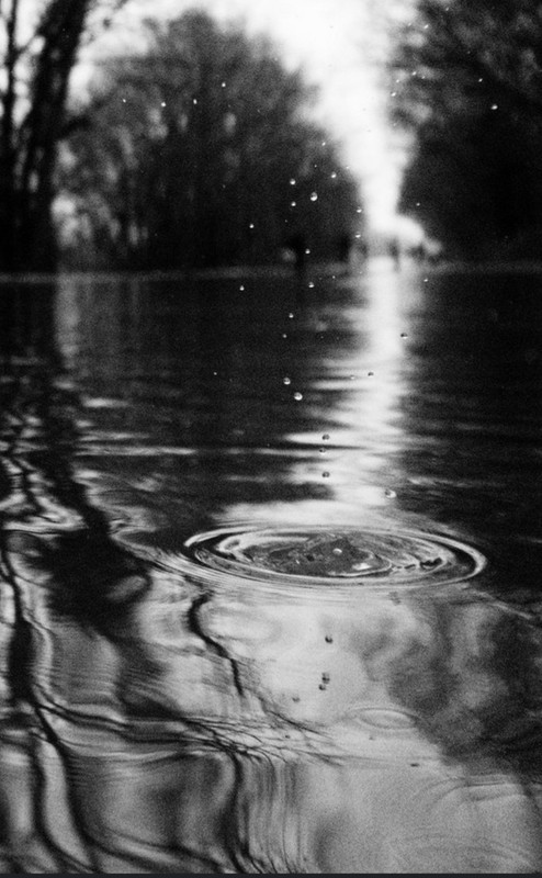 Screenshot_20221203-015647_Chrome