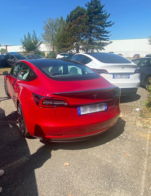 4584D80C-1C3E-4DD9-8F51-A00238E33FCE