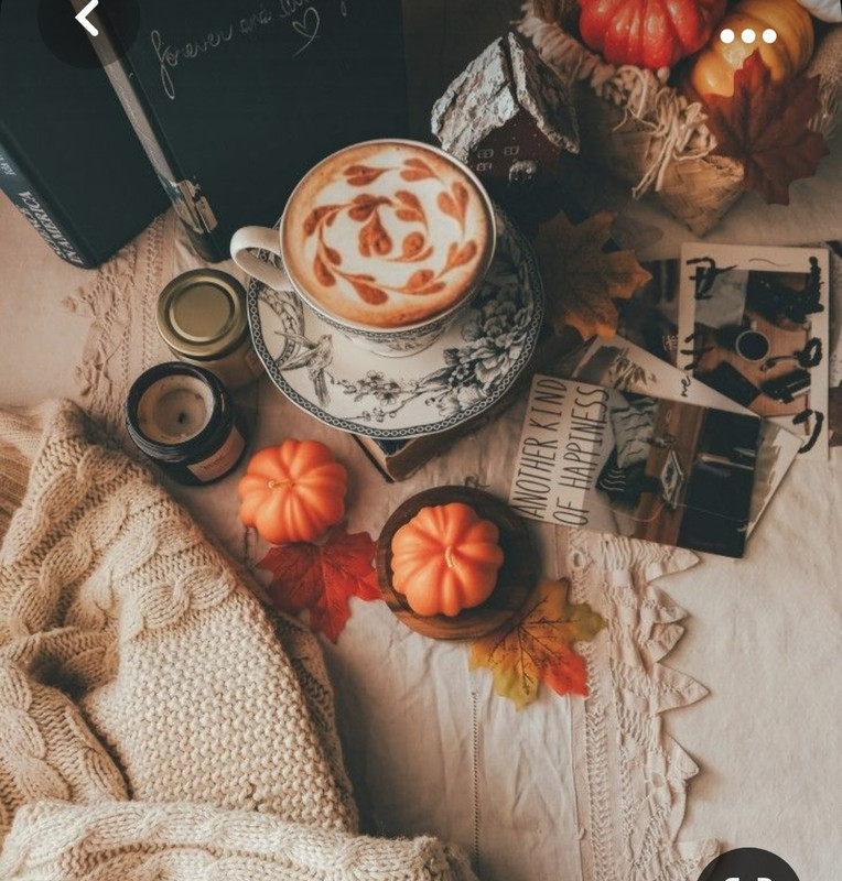 Screenshot_20231031_162838_Pinterest