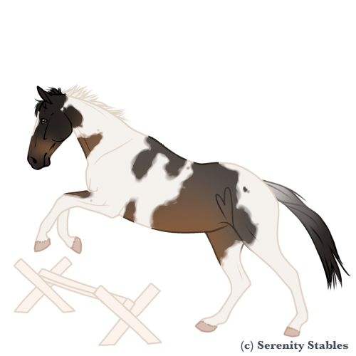 Untitled560-20240522135145.png