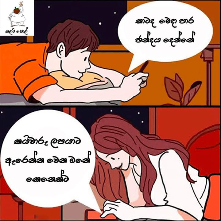 FB-IMG-1724766599626.jpg