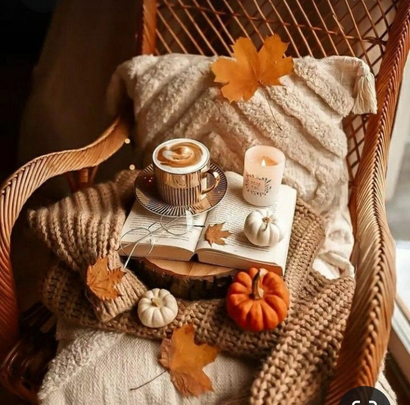 Screenshot_20230923_003638_Pinterest