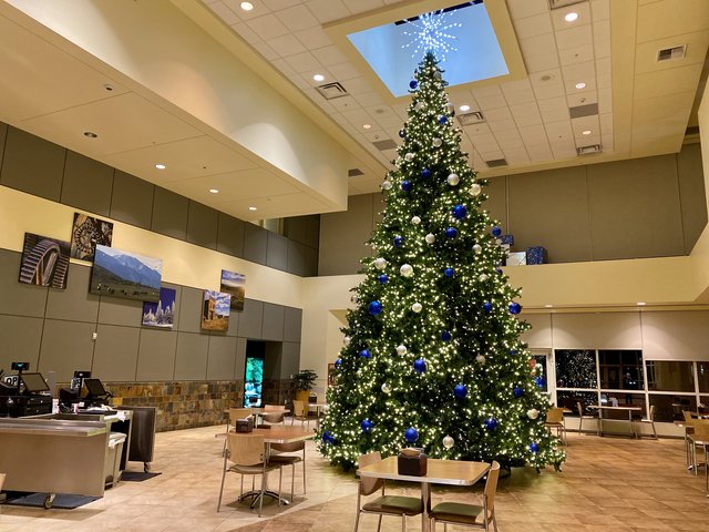 [Image: DAEED1-A7-8-CC0-41-F4-89-D0-421-CE907-CB24.jpg]