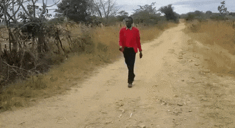 daily-gifdump-3410-09.gif