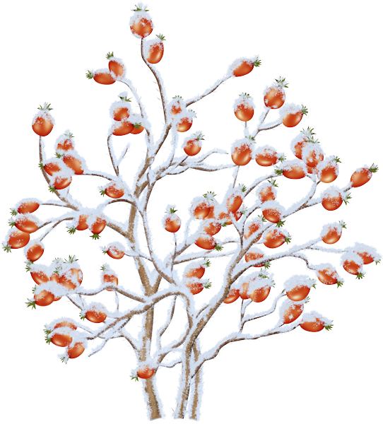 DaelmansDesigns-DearSanta-TS-PU-Element-087