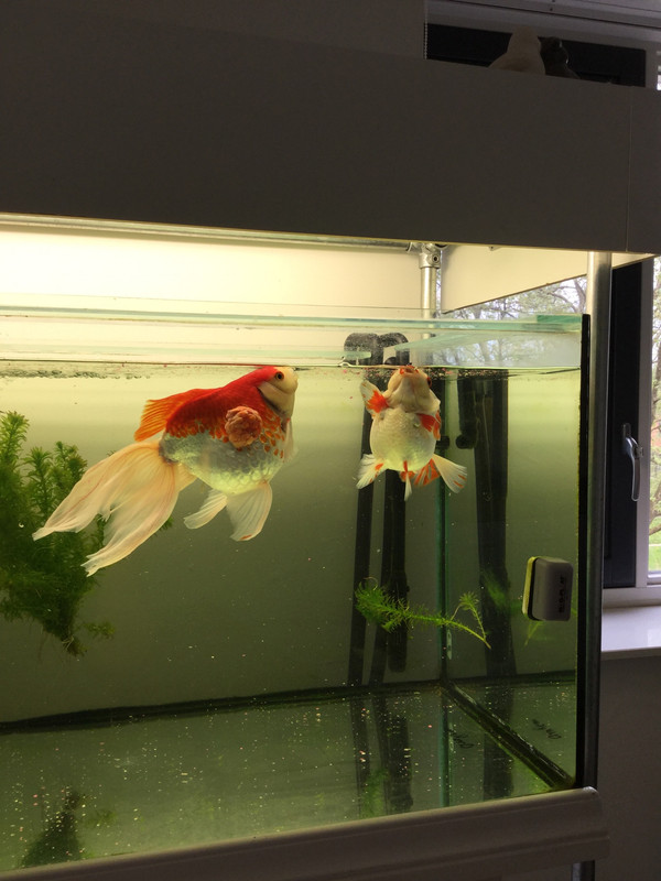 3FA01CCD-0554-4192-BBA0-6F9B0801CED5