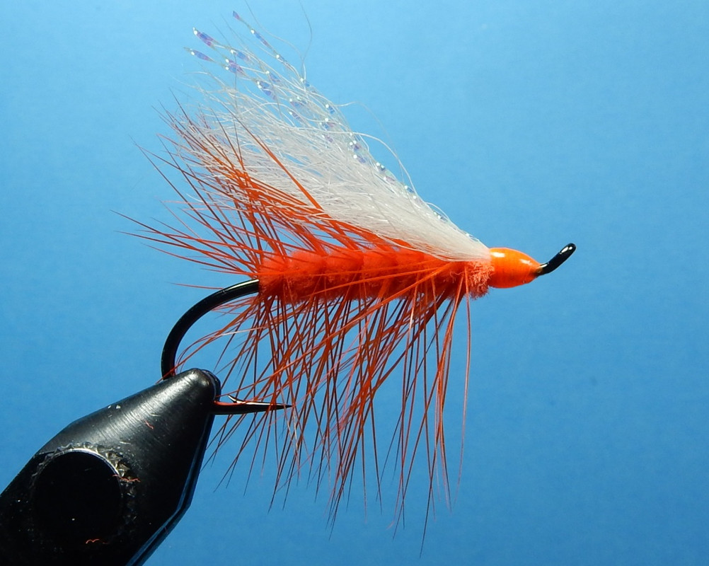 Frank-s-Fly-1080.jpg Frank-s-Fly-1080.jpg