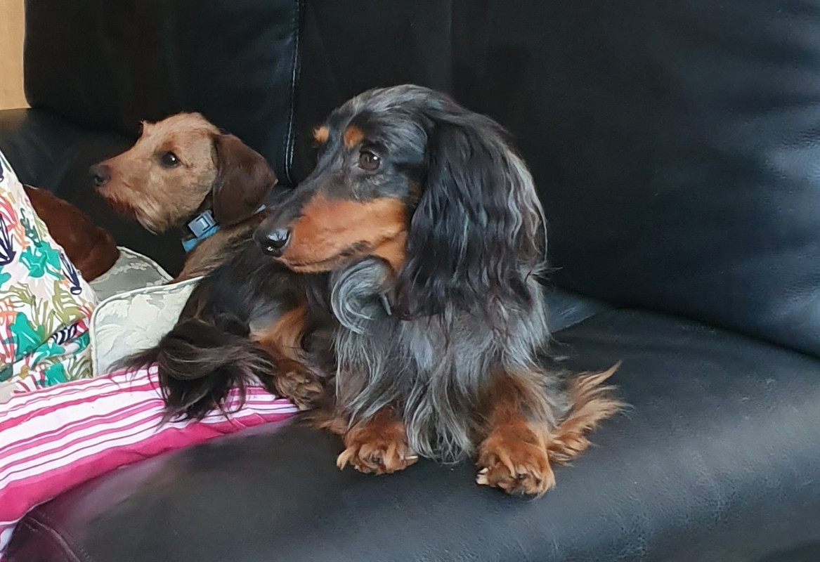 [Image: 20230528-153058.jpg]