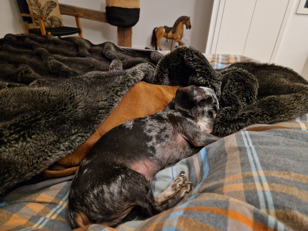 [Image: 20230321-002936.jpg]