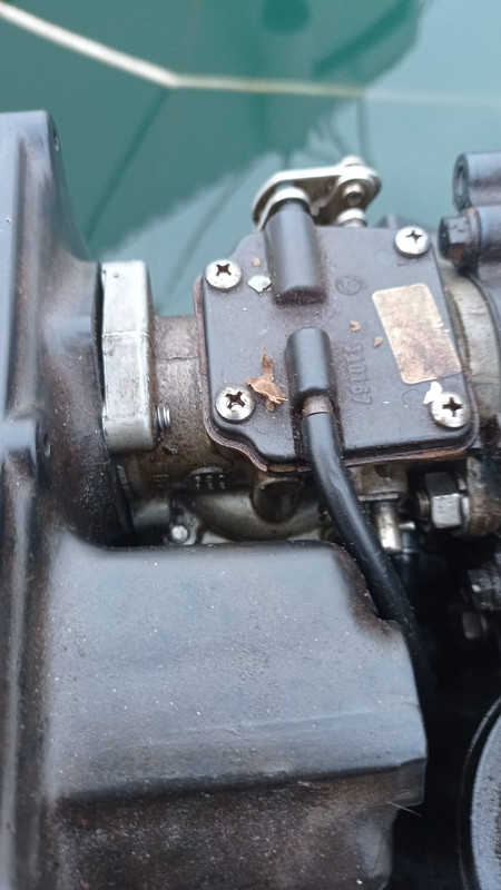 WhatsApp Image 2023-05-19 at 21.17.31(2)