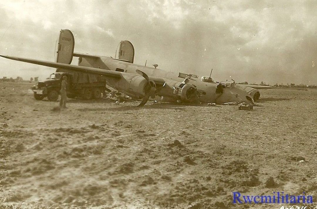 (#42-72927) in Field (#1)