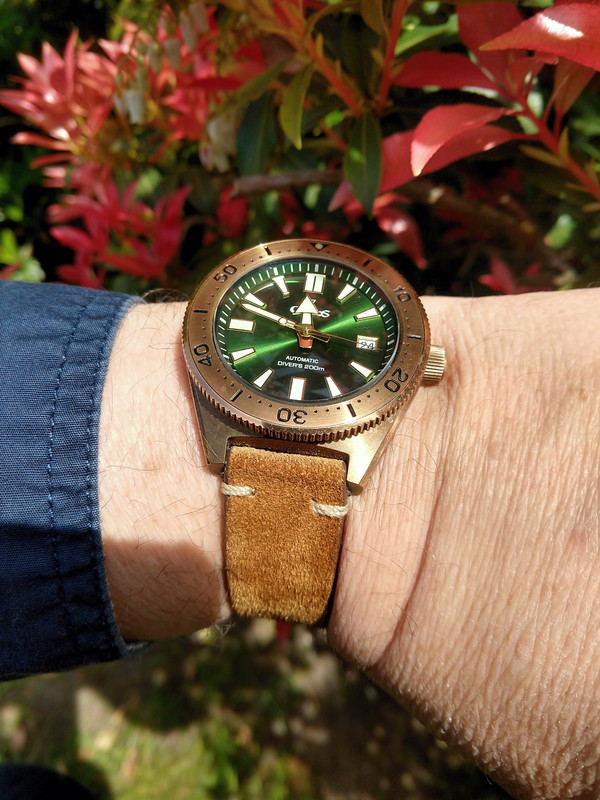 Cronos (Lugyou)Bronze Diver-20