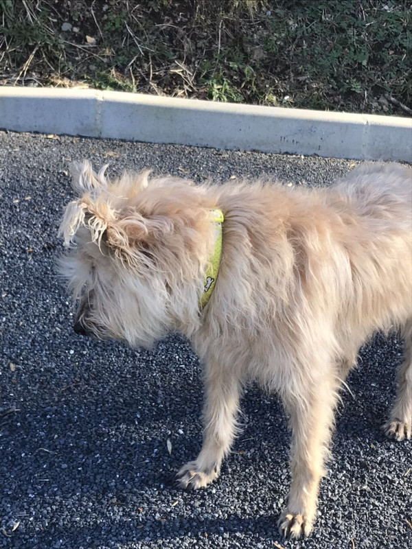 EDE1C98C-D823-4B1A-8EAB-E253F6C240C8