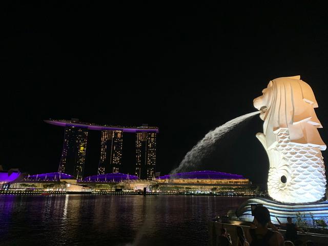 Singapur e Indonesia 2018 - Blogs de Indonesia - Parada en Londres y noche en Singapur (9)