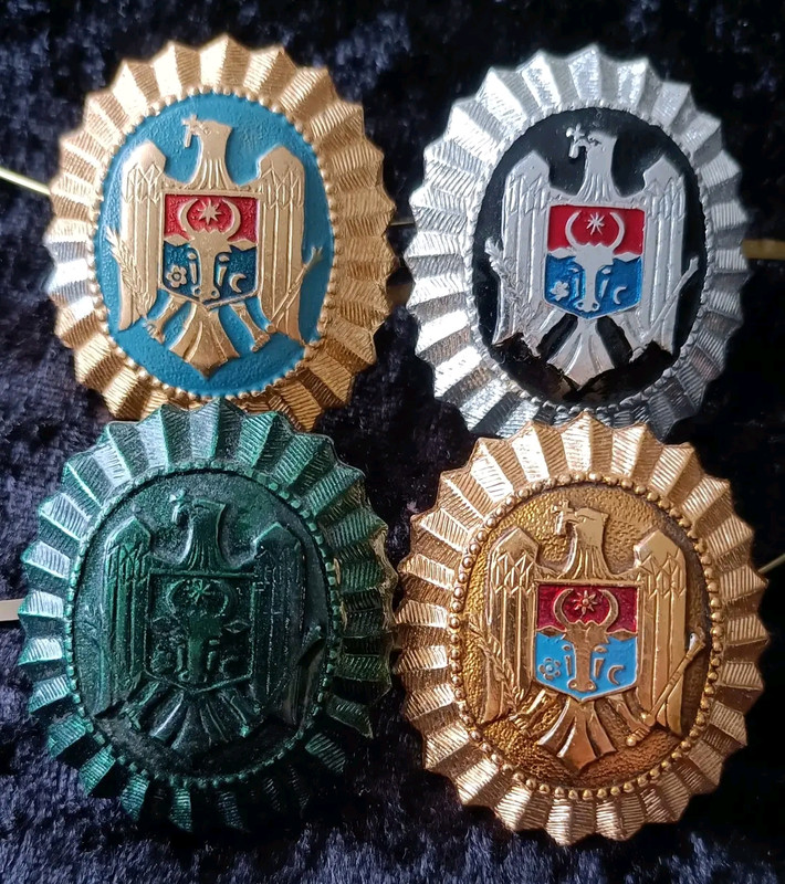 https://i.postimg.cc/R0n6gj5R/1737624321171.jpg