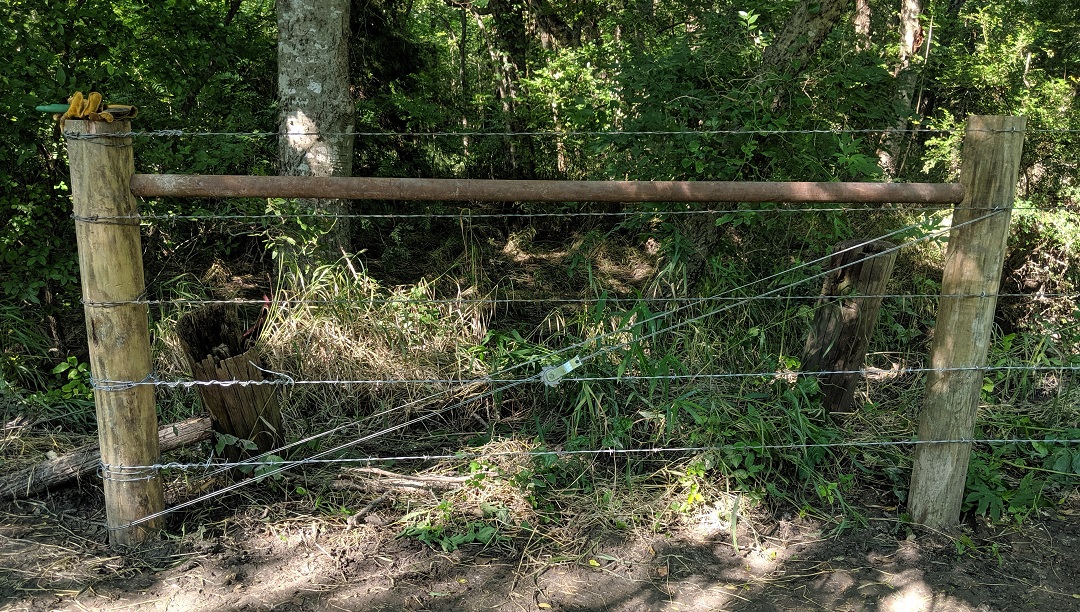 IMG_20190608_173759 (1)