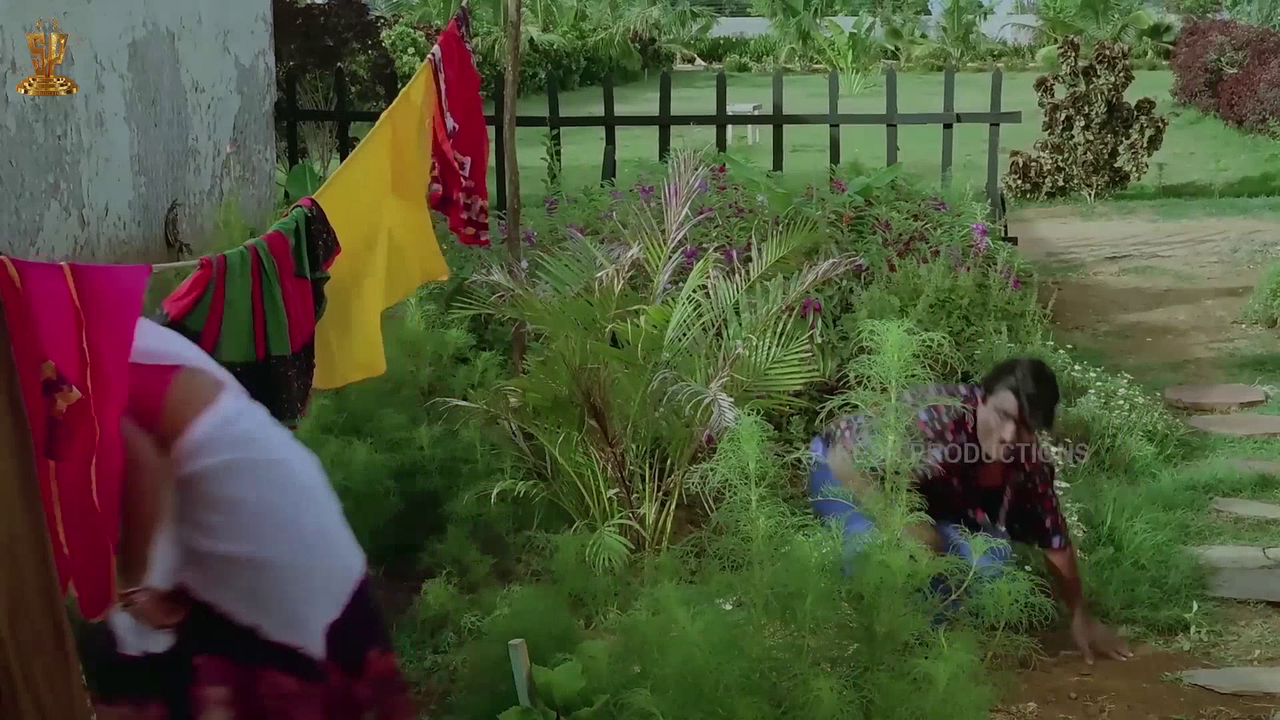 vlcsnap 2026 02 25 19h03m17s293