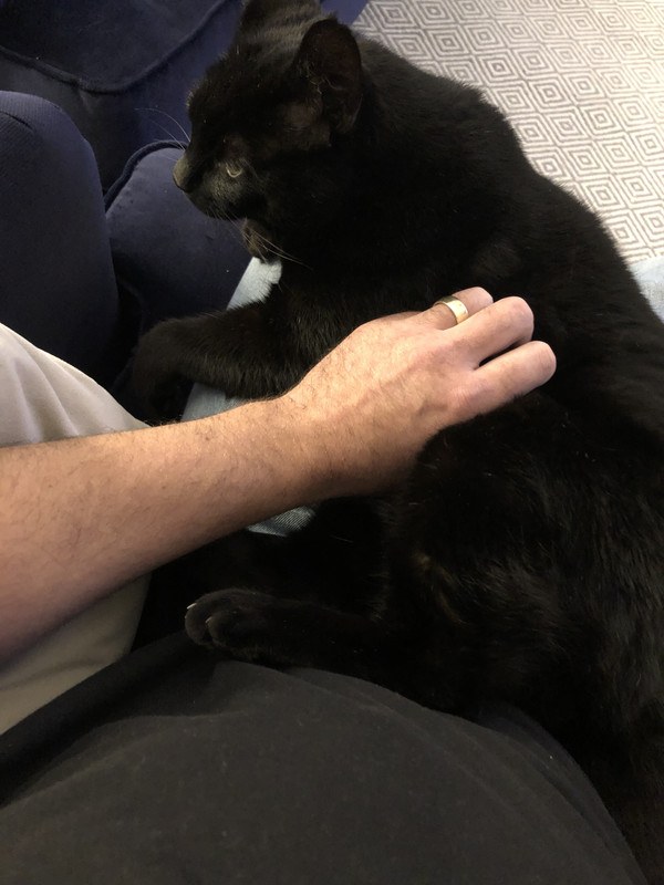 3A9B4155-1D3C-42A1-AA41-A8AB3FDDD9E3