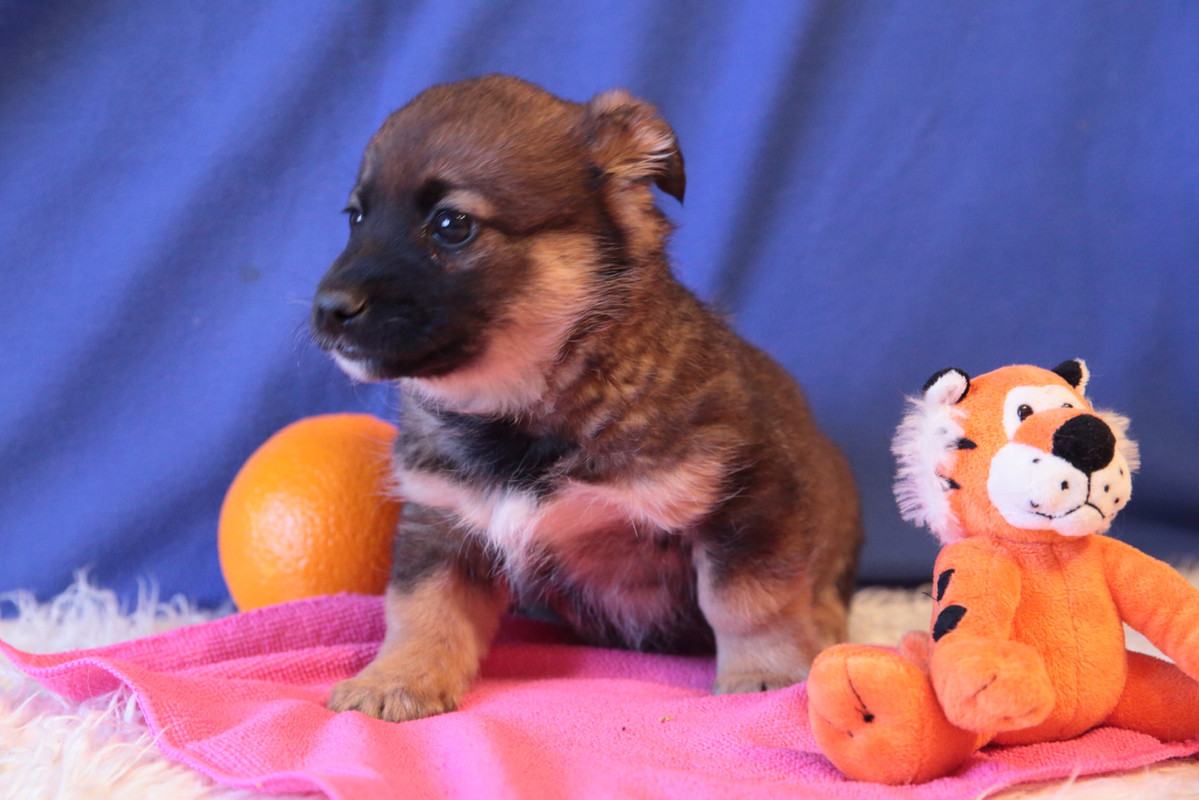 709A7E68-38E1-4777-8740-BB0FA42A9A5A