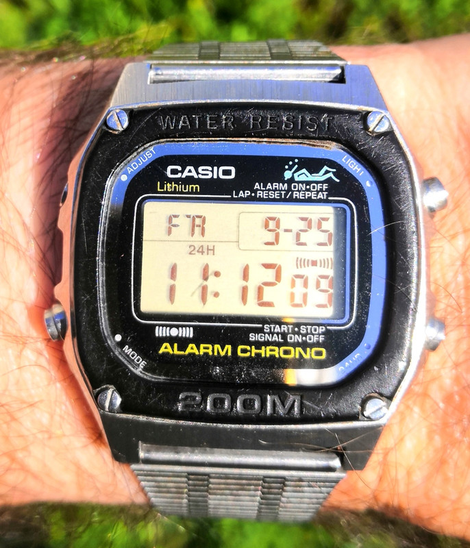 Feu de vos Casio - Page 16 IMG-20211010-143748