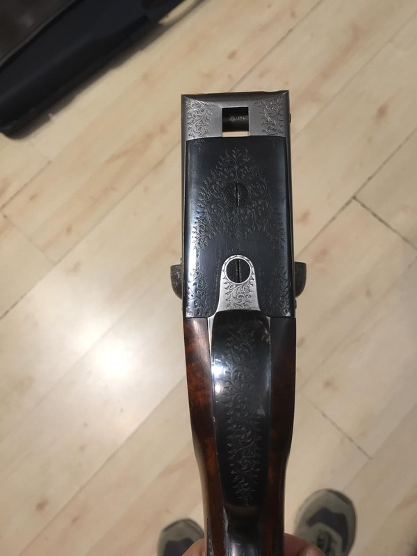 B34506AF-0579-4139-B805-4E0182758278