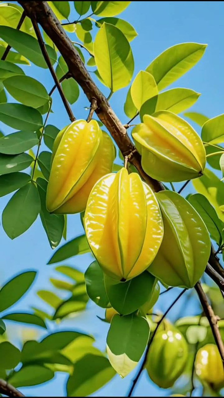 download 2025 12 23T081227 334