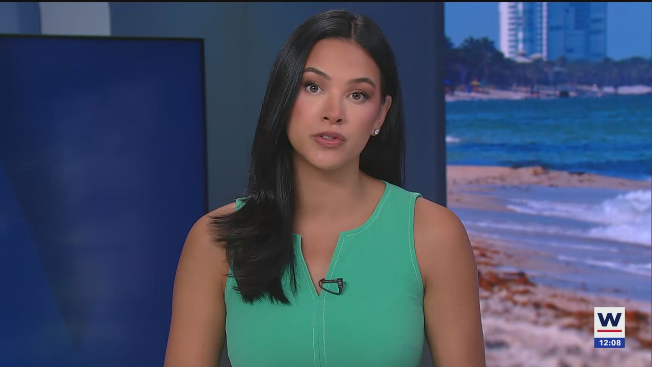 07.02 - 17.00.00 - The WINK Noon News  ᴺᵉʷ. Midday news update..ts_snapshot_09.41.678
