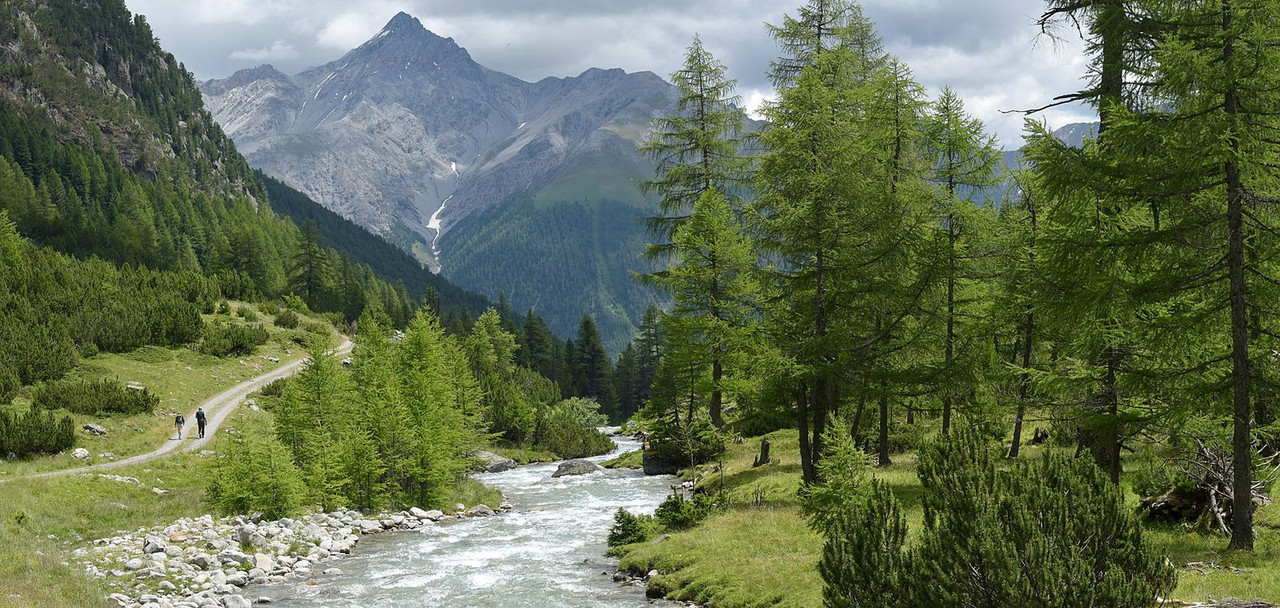 green-alps-sw-itzerland.jpg
